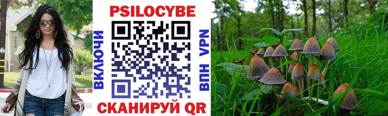 купить   Сыктывкар  Псилоцибиновые грибы мухоморы 